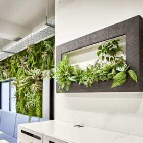 大型インテリア/壁面緑化/店舗・サロン用にもᵕ̈ 大型インテリア/壁面緑化/店舗・サロン用にもᵕ̈